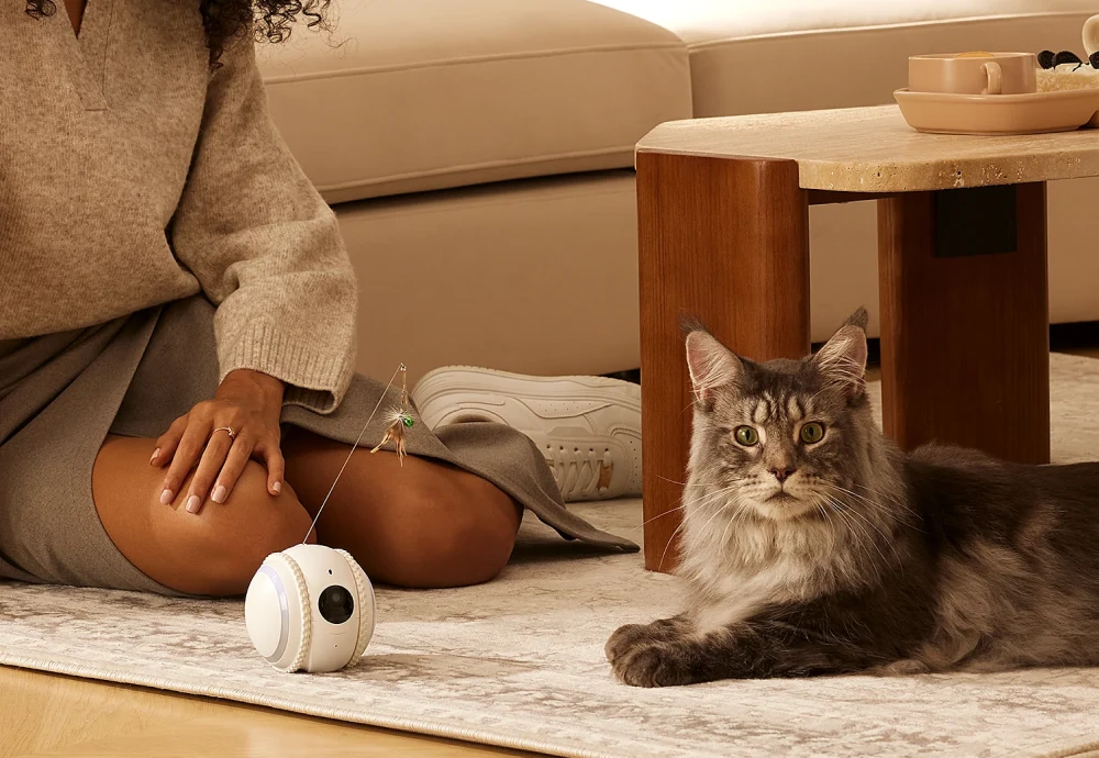cameras to watch your pets